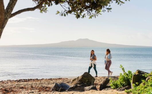 takapuna-beach-holiday-park-auckland-nz