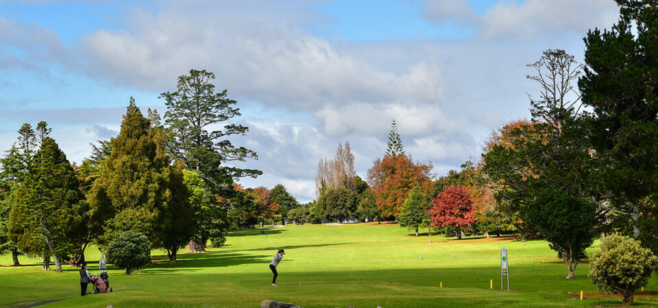bg-course-tour