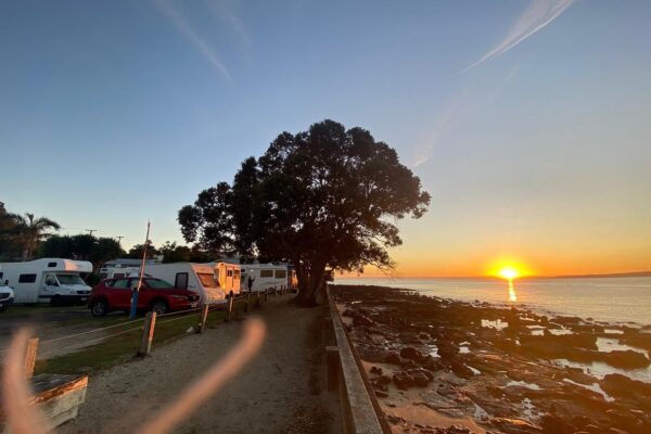 Auckland Campground
