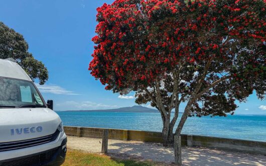 Takapuna Beach Holiday Park Auckland