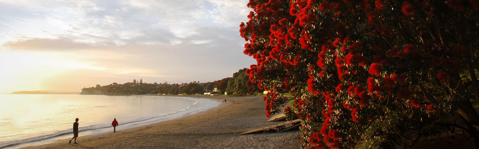 things-to-do-in-takapuna (3)